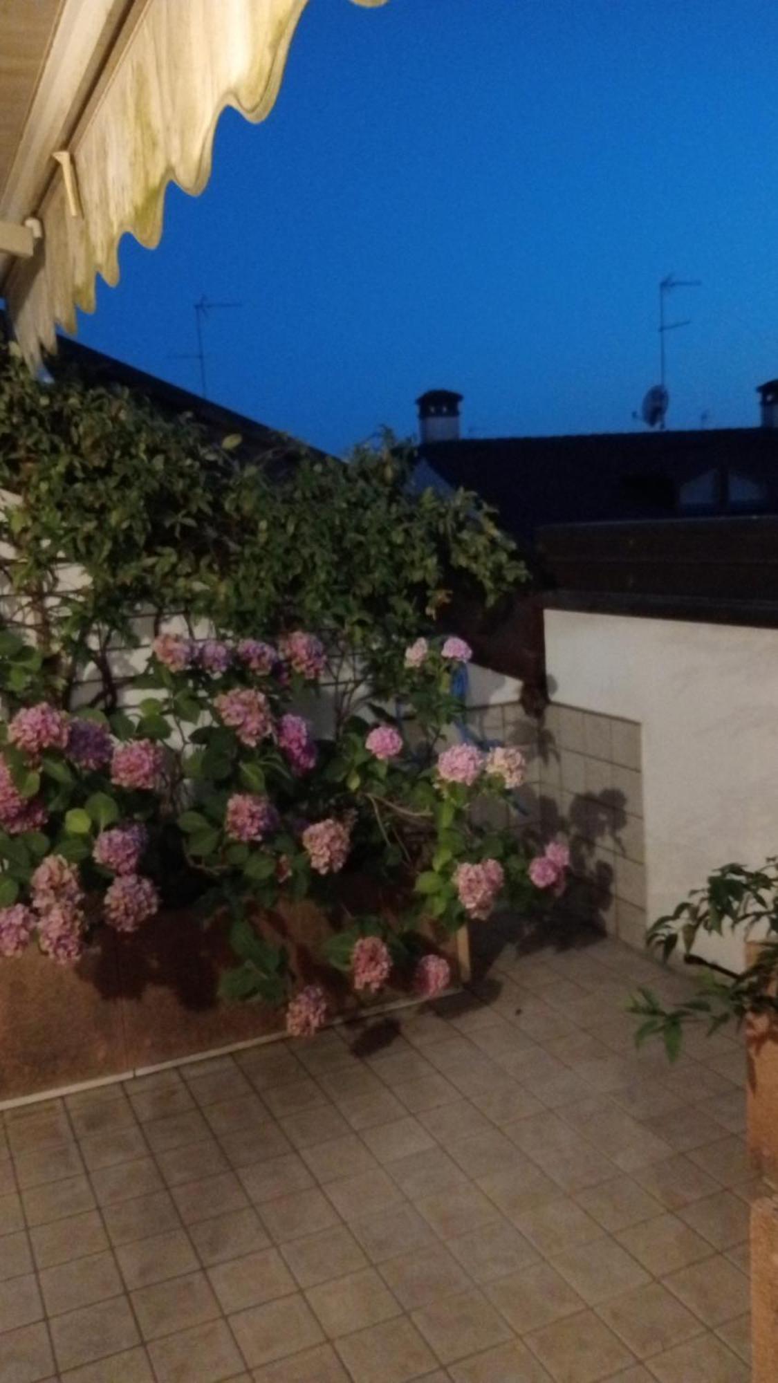 Apartamento Attico Di Marisa Codroipo Exterior foto